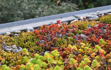 the cost of Norton green roof installation