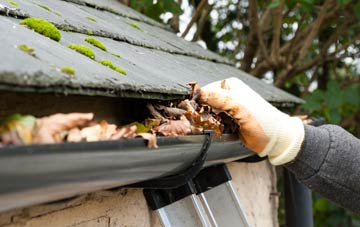 gutter cleaning Norton