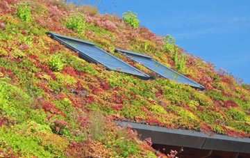 Norton living roof systems